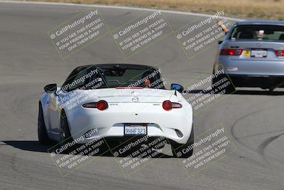 media/Nov-03-2023-Club Racer Events (Fri) [[fd9eff64e3]]/Yellow/Back Shots/